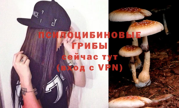 прущий лед Елизово