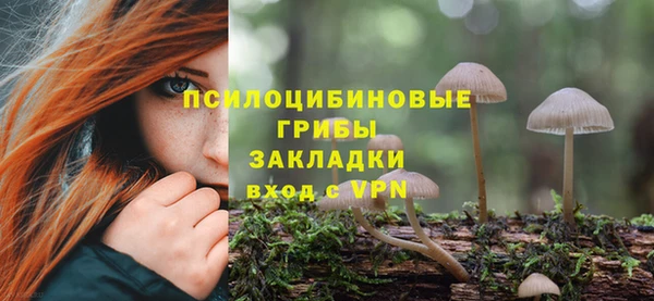 прущий лед Елизово