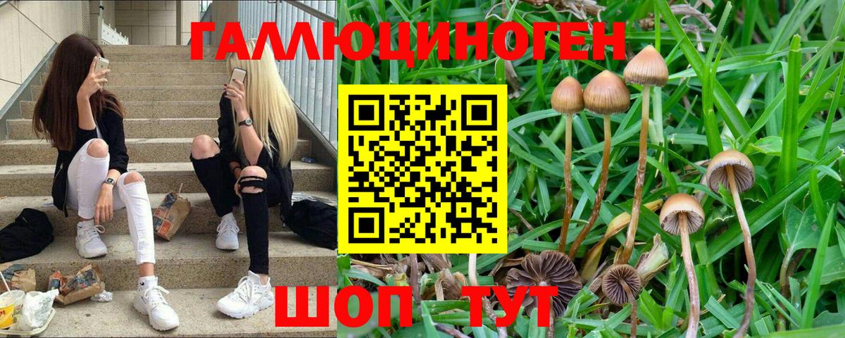 Чита  Галлюциногенные грибы Magic Shrooms  Галлюциногенные грибы мухоморы  Вход с VPN 