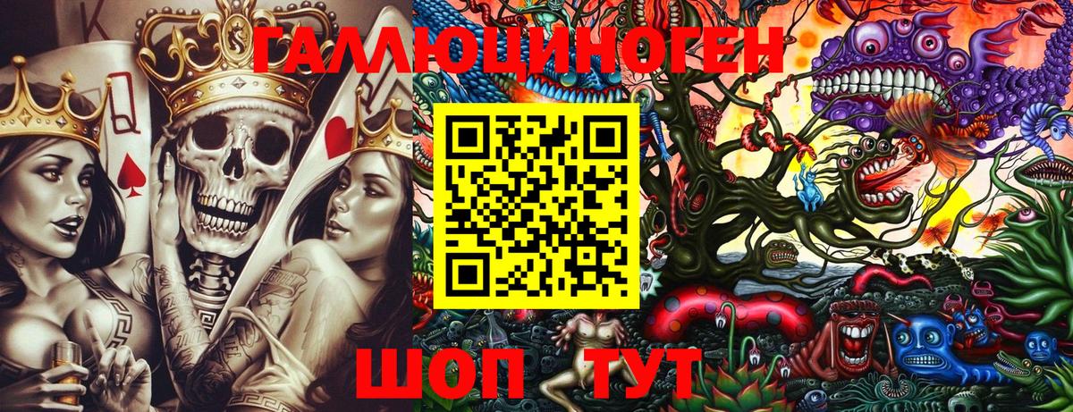 Галлюциногенные грибы Psilocybine cubensis Чита